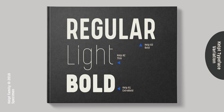 Przykład czcionki Kelpt A1 Semi Light Italic